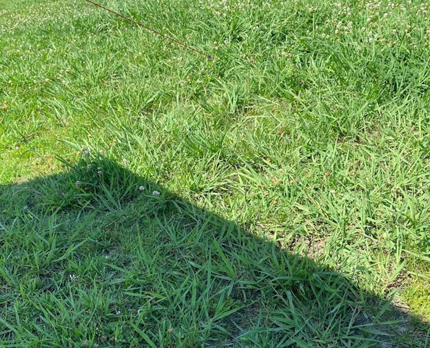 amazon 最安アウトドアタープの日陰