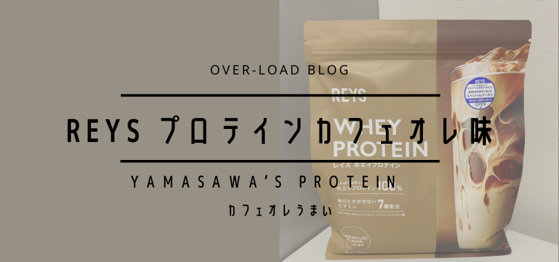 レイズプロテイン　カフェオレ味