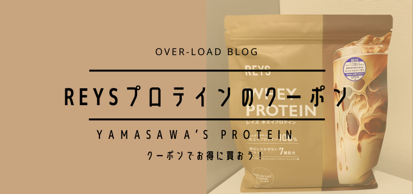 レイズプロテイン　クーポン