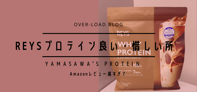 レイズプロテイン　レビュー